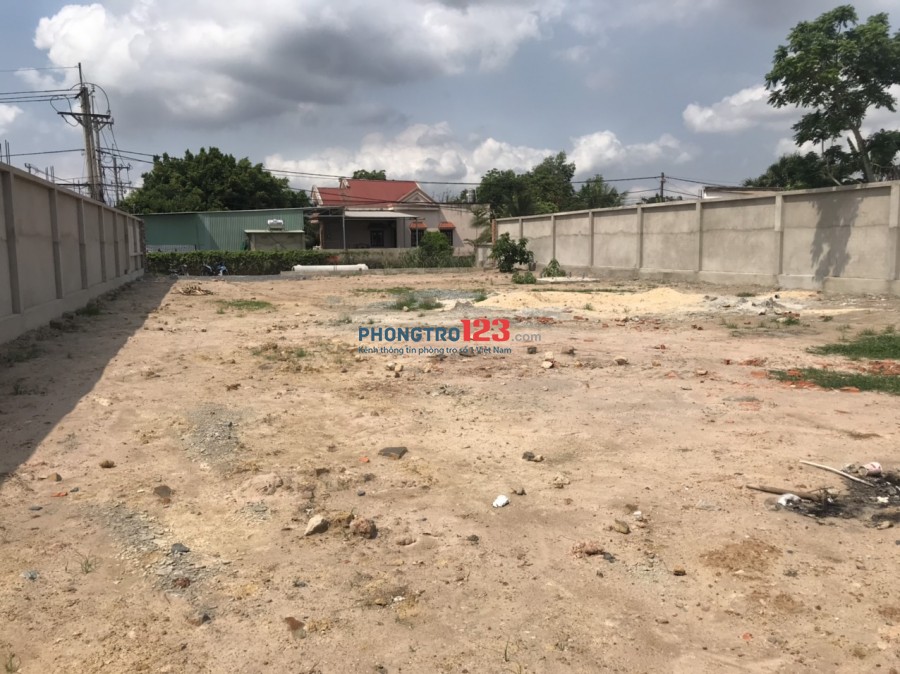Cho thuê 1700m2 Đất kinh doanh mặt tiền đường lớn Tại Ấp Bến Đò 1 Huyện Củ Chi