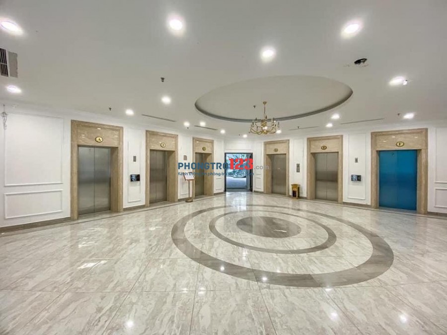 Cho thuê căn hộ 3 ngủ Sunshine Garden cạnh Times City. Nội thất liền tường đầy đủ