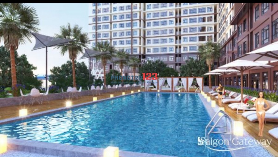 Cho thuê căn hộ mới 100% chung cư Saigon Gateway 65m² 2PN, có nội thất. Giá 9tr/th