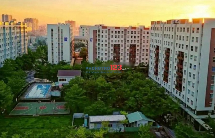 Chính chủ cho thuê căn hộ EHOME 3 90m2 3pn 3wc tại Hồ Học Lãm, Q.Bình Tân. Giá 10tr/th