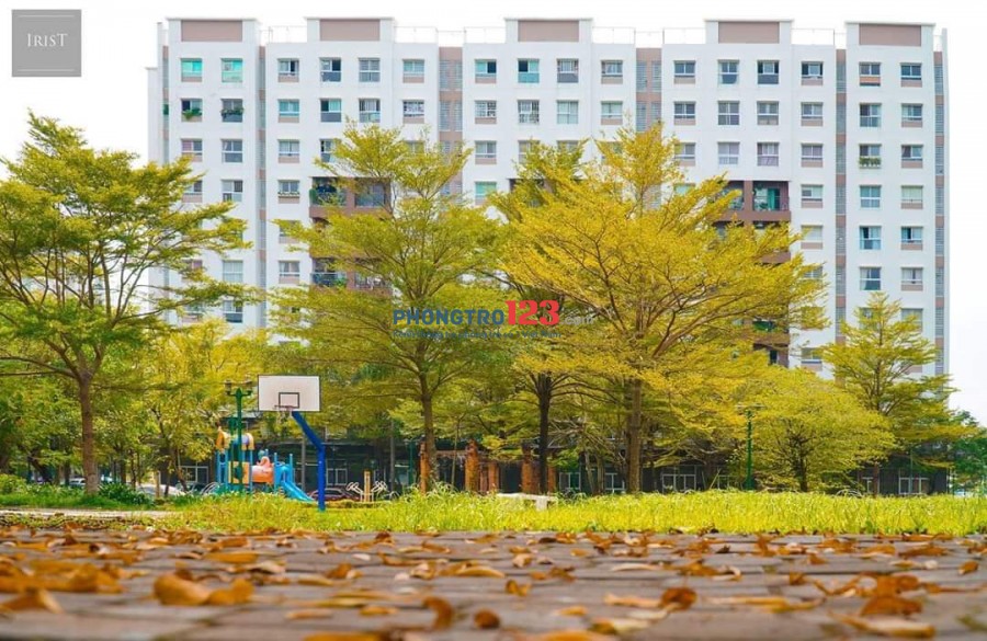 Căn hộ Ehome 3 - 5tr/tháng – Hồ Học Lãm – Bình Tân, 50m2, có công viên – hồ bơi