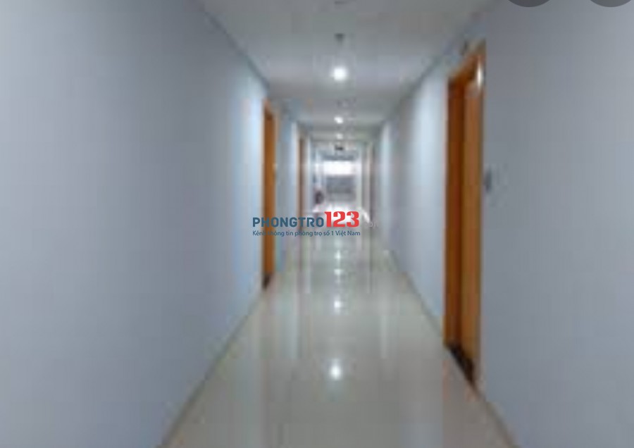 CHÍNH CHỦ CHO THUÊ CĂN HỘ 65M2, 2 PN, 2 WC, VƯỜN LÀI, AN PHÚ ĐÔNG, QUẬN 12