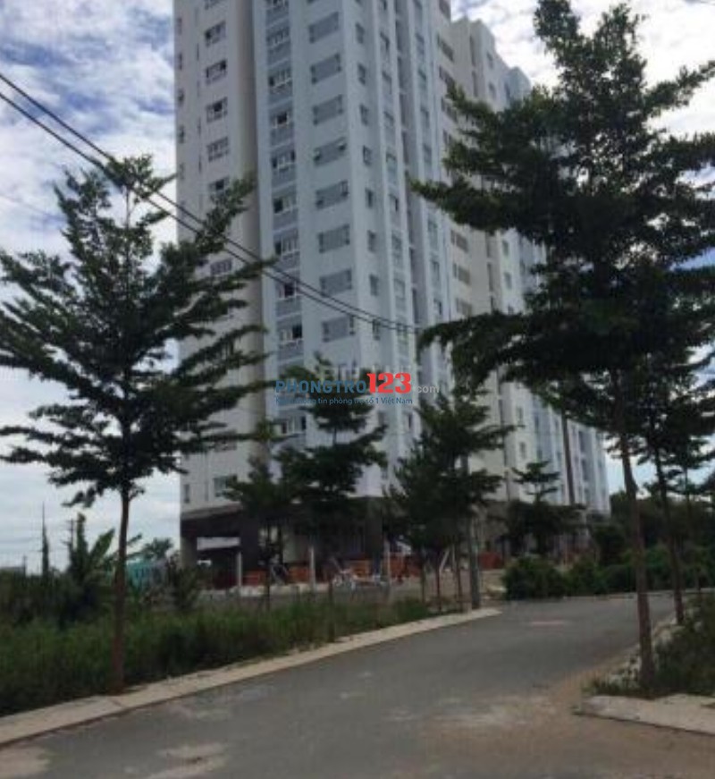 CHÍNH CHỦ CHO THUÊ CĂN HỘ 65M2, 2 PN, 2 WC, VƯỜN LÀI, AN PHÚ ĐÔNG, QUẬN 12