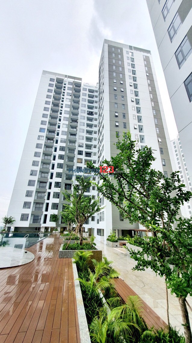Chính chủ cho thuê căn hộ mới nội thất căn bản Central Premium Q8 DT 87m² 3PN