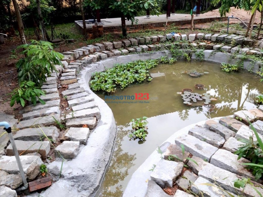 Mặt bằng sân vườn mới, đẹp, giá 6 triệu tại Võ Xu