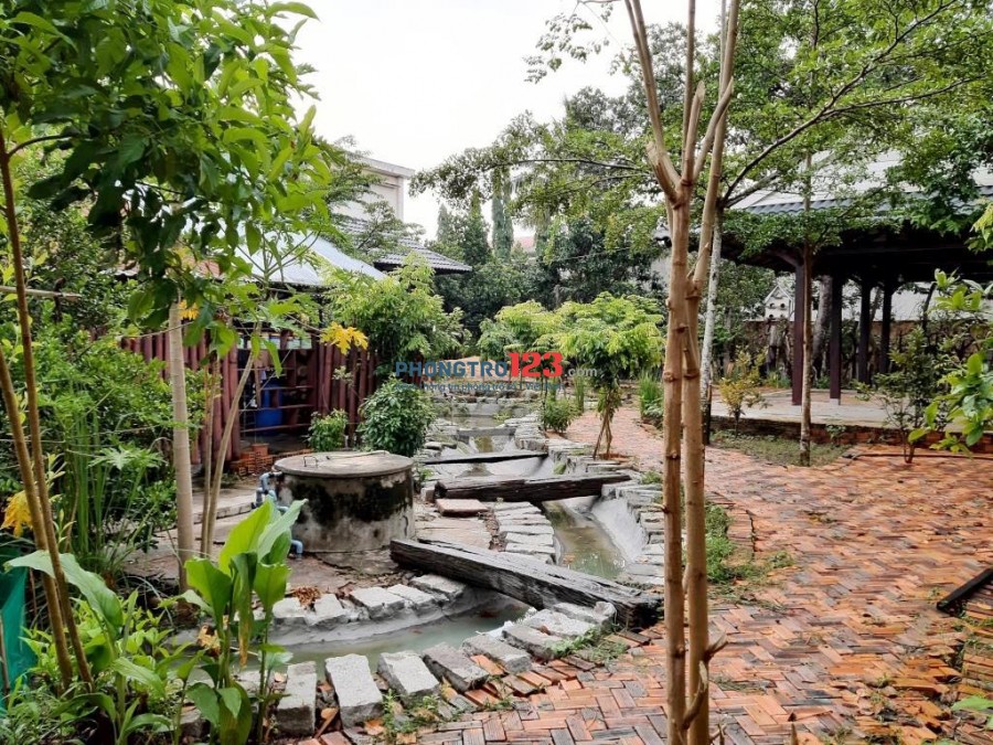Mặt bằng sân vườn mới, đẹp, giá 6 triệu tại Võ Xu