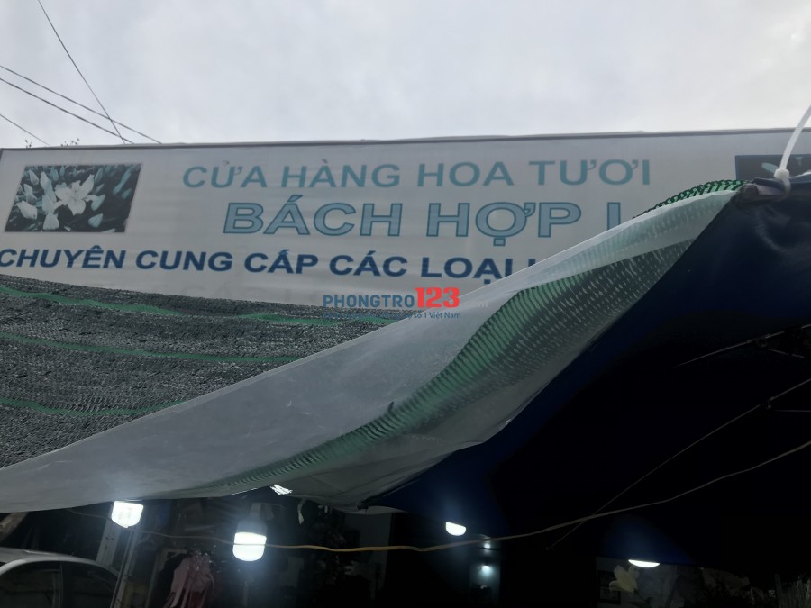Phòng trọ ngay đường LÊ VĂN LƯƠNG (2 tầng)