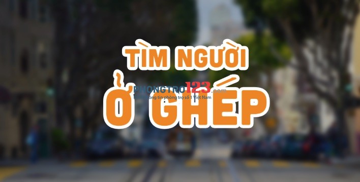 Tìm 1 bạn ở ghép sau lưng điện máy xanh