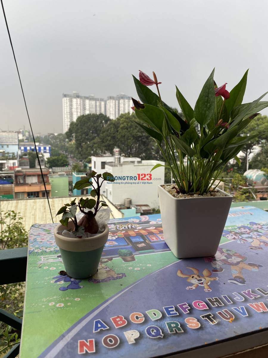 TUYỂN NƯ Ở GHÉP ĐƯỜNG LÝ THƯỜNG KIỆT