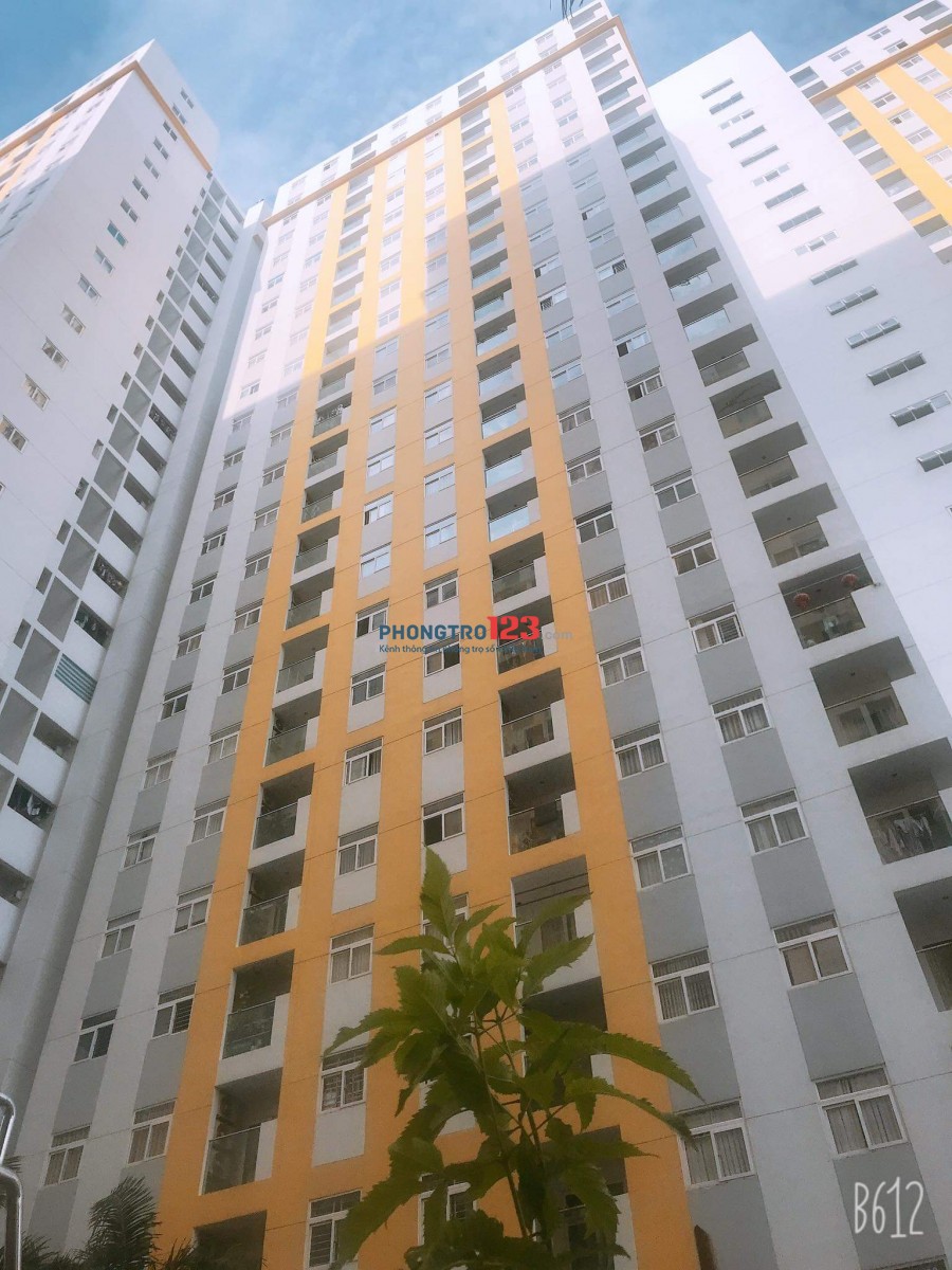 Cho thuê căn hộ City Gate Tower Võ Văn Kiệt P16 Q8 DT 80m2 có 2pn giá 8tr/th