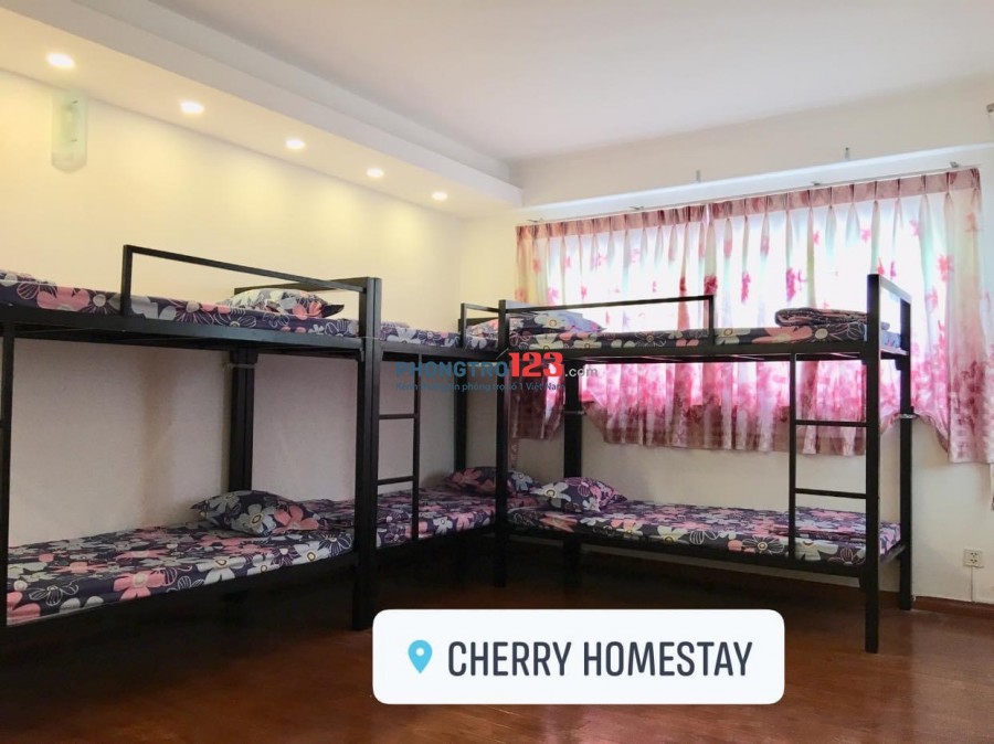 TÌM NGƯỜI Ở GHÉP TẠI HOMESTAY Q1, FULL NỘI THẤT, GIỜ GIẤC TỰ DO, BAO TRỌN GÓI 1.9TR/NGƯỜI/THÁNG