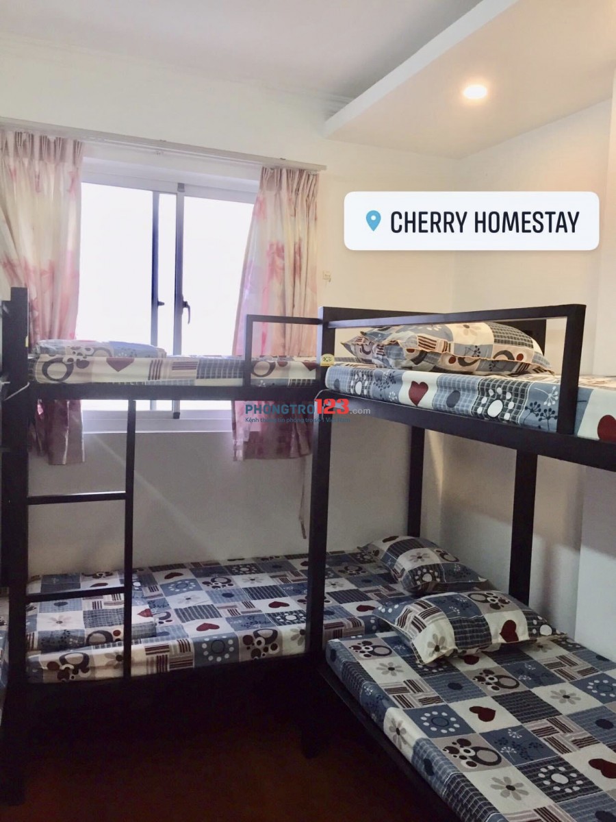 TÌM NGƯỜI Ở GHÉP TẠI HOMESTAY Q1, FULL NỘI THẤT, GIỜ GIẤC TỰ DO, BAO TRỌN GÓI 1.9TR/NGƯỜI/THÁNG