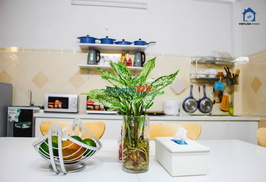 KTX Tiếng Anh 100% - FREE TIỀN TRỌ TẾT - Vietlish Homes