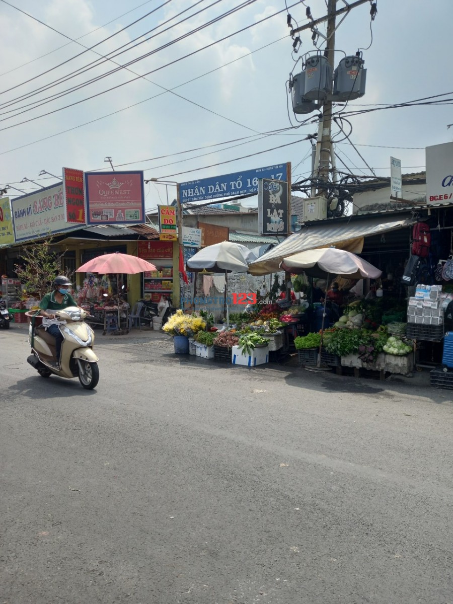 Cho thuế nhà nguyên căn chợ Thới Hòa cạnh KCN Vĩnh Lộc Bình Tân