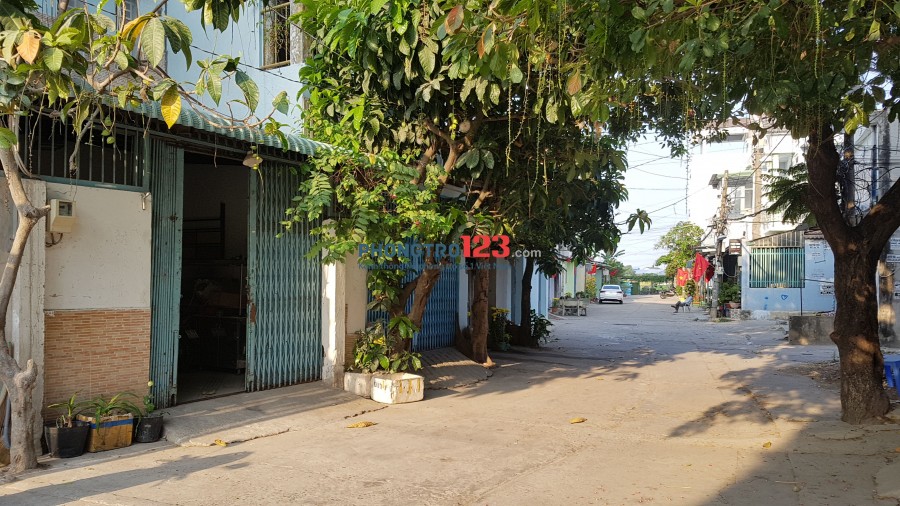 Cho thuê nhà nguyên căn diện tích 5x15m, TX1 phường Thạnh Xuân. Q12.