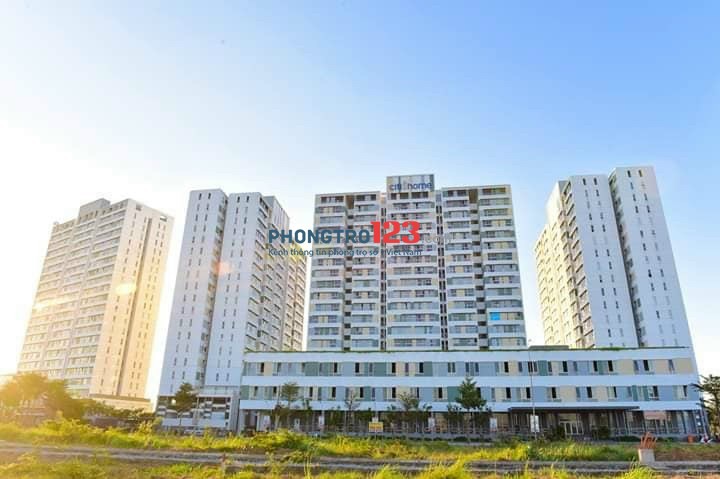 Cho thuê căn hộ Citi Home , Cát Lái, Quận 2 giá rẻ