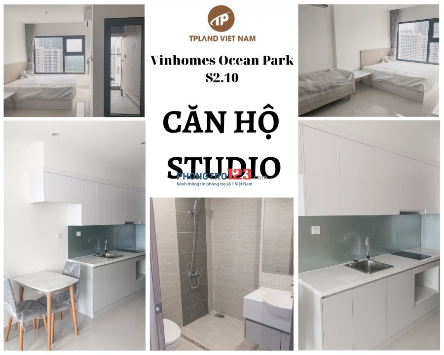 Chủ đầu tư Vinhomes cho thuê căn hộ Vinhomes Ocean Park