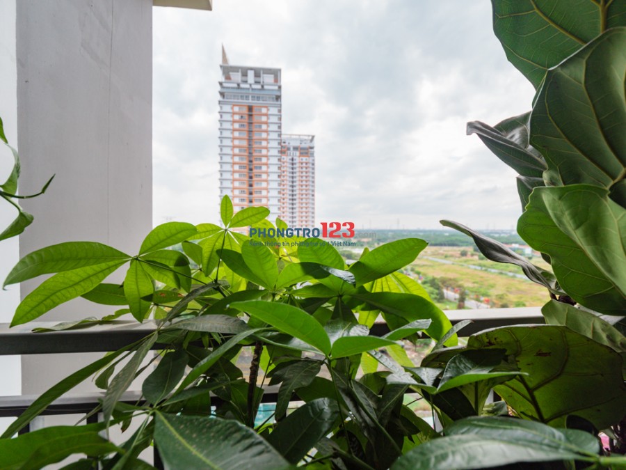Share lại 1 phòng ngủ trong căn hộ 2PN tại Chung Cư The Park Residence