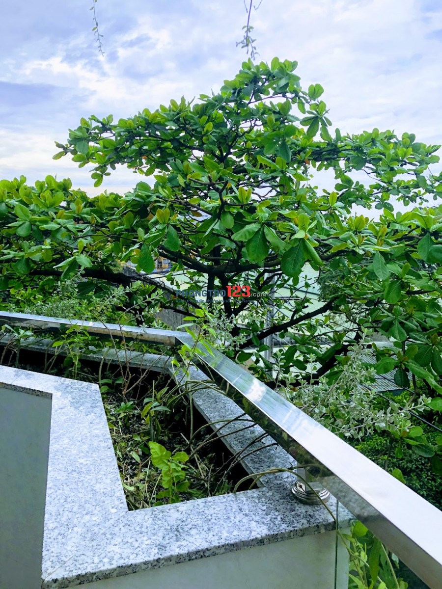 Còn 01 phòng, có gác, ban công, máy lạnh, Gía 5tr/ tháng