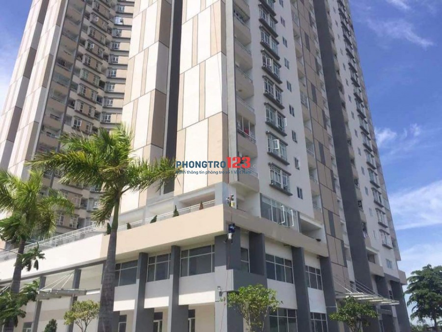 Cho thuê căn hộ chung cư 70m2 ngay tại mặt tiền đường Phạm Hùng