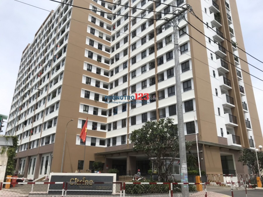 Chính chủ cho thuê CH mới Citrine Apartment 68m2 2pn Tăng Nhơn Phú Q9 giá 7,3tr/th