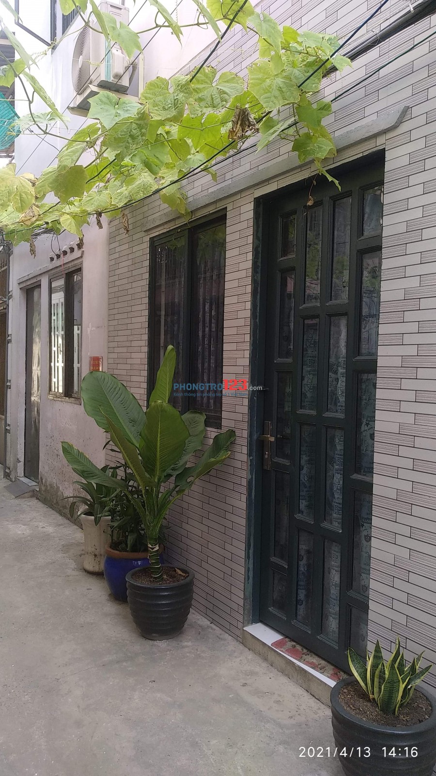 Cho thuê phòng trọ nguyên căn Đường số 14, Phường Hiệp Bình Chánh, Quận Thủ Đức, Hồ Chí Minh