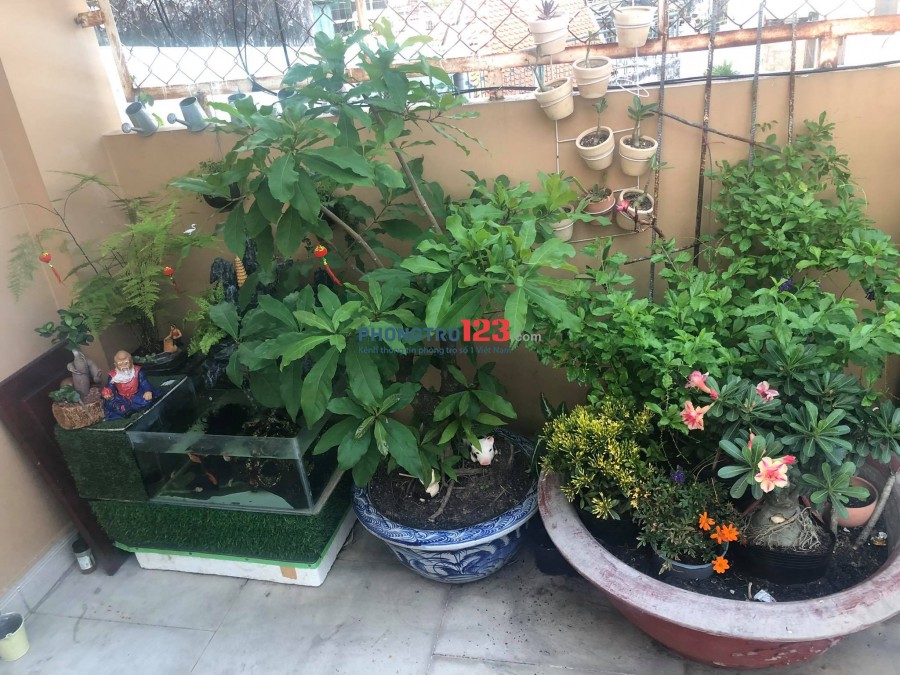  Cho Nữ Thuê PHÒNG HƠN 40m2,ĐẦY ĐỦ TẤT CẢ NỘI THẤT & TRANG THIẾT BỊ,TRUNG TÂM SÀI GÒN,QUẬN 3,QUẬN 10
