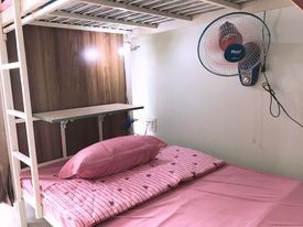 Ký túc xá cho thuê giường tầng giá rẻ Quận 12 - Hóc Môn️
