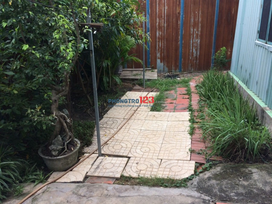 Cho thuê nhà nguyên căn 52/4B1 đường Võ Thị Hồi, Xuân Thới Sơn, Hóc Môn