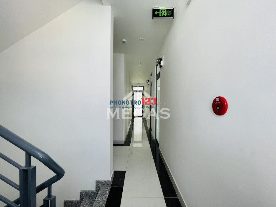 Cho thuê phòng trọ, căn hộ dịch vụ tại địa chỉ 8 Đường số 8, Phường Bình Hưng Hoà, quận Bình Tân