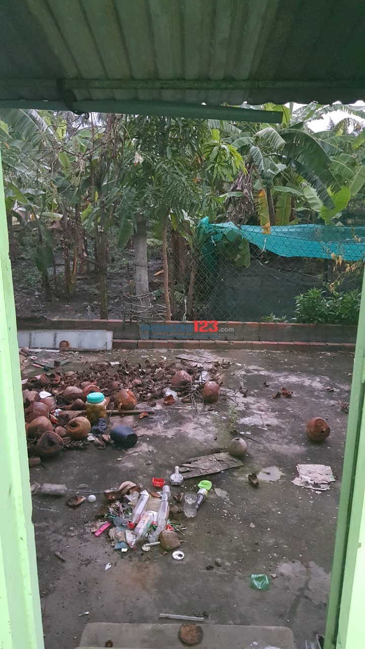 Cho thuê nhà nguyên căn, gần KCN Thuận Đạo, Bến Lức. Diện tích : 3,5m x 14m giá thuê 4tr/tháng