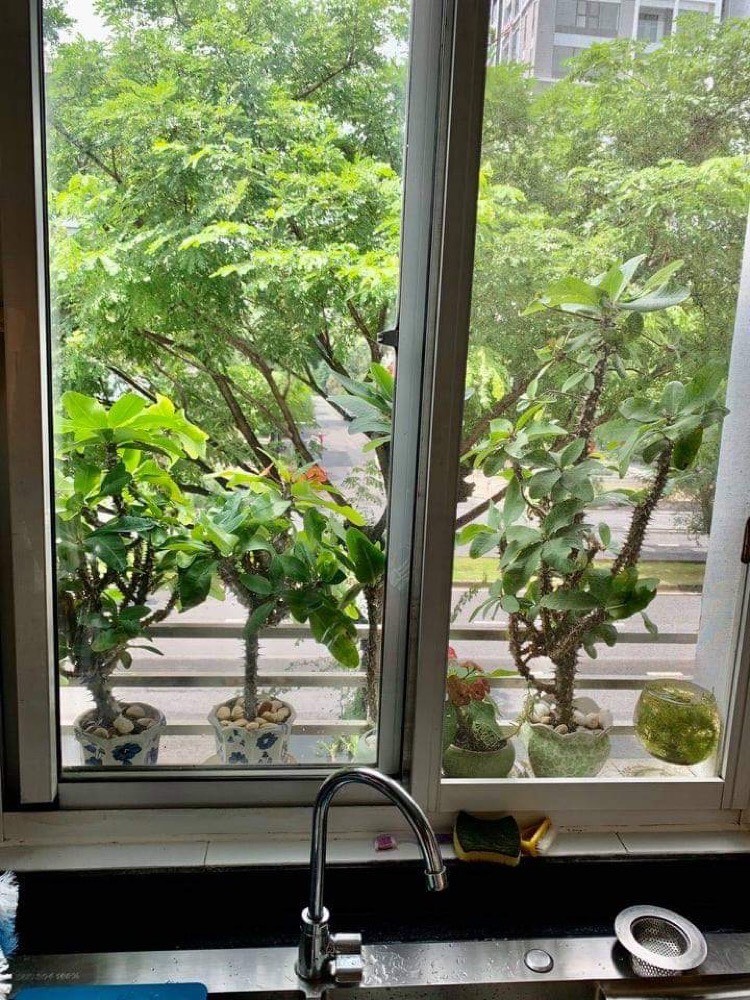 Cho thuê Căn hộ Mỹ Khang, Phú Mỹ Hưng, Quận 7.