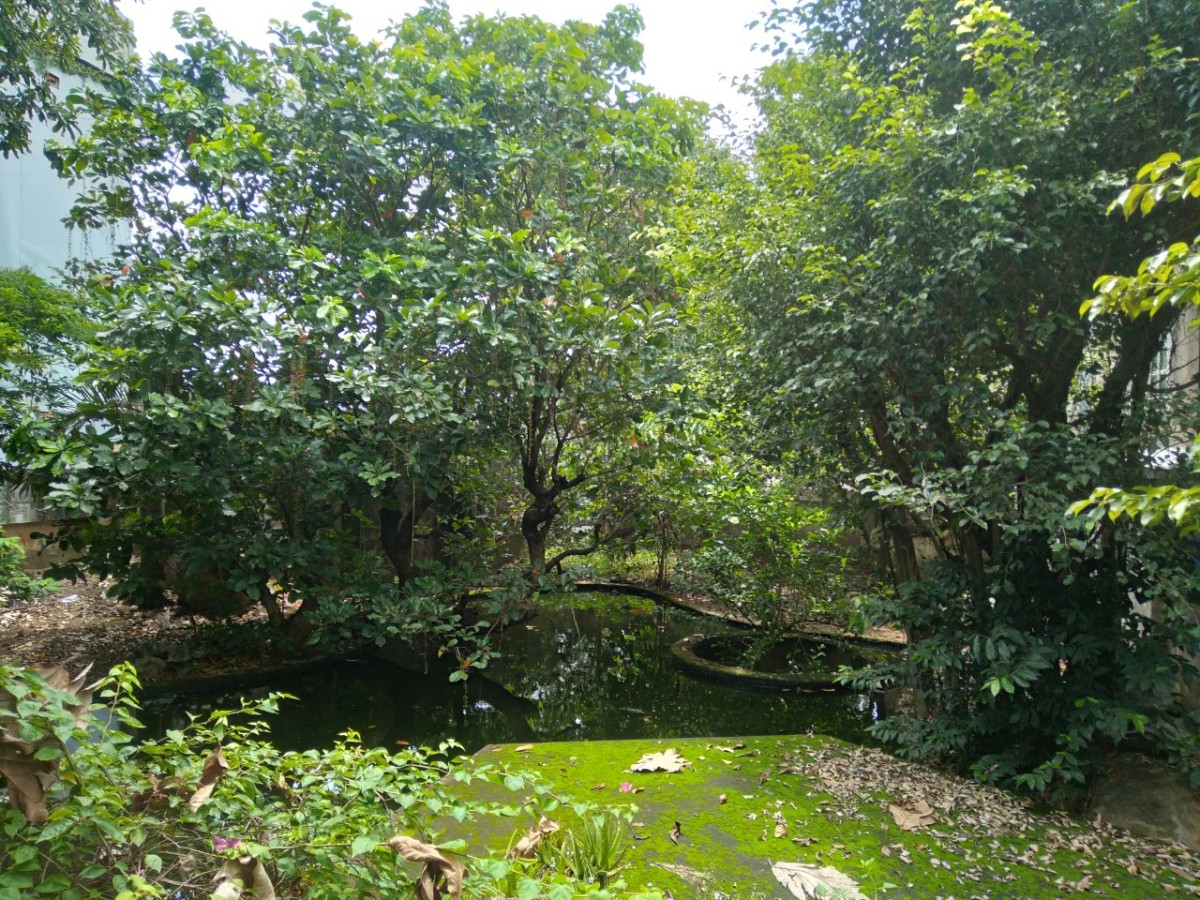 Cho thuê nhà vườn 400m2 trên khu đất 1.200m2 tại phường Bửu Long, Tp. Biên Hòa
