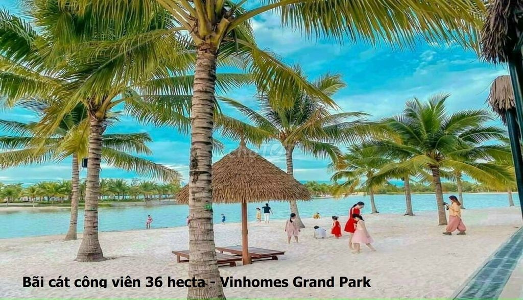  Rổ Hàng 100 Căn Hộ Cho Thuê Dự Án Vinhomes Grand Park Giá Rẻ Tiện Ích 5 Sao