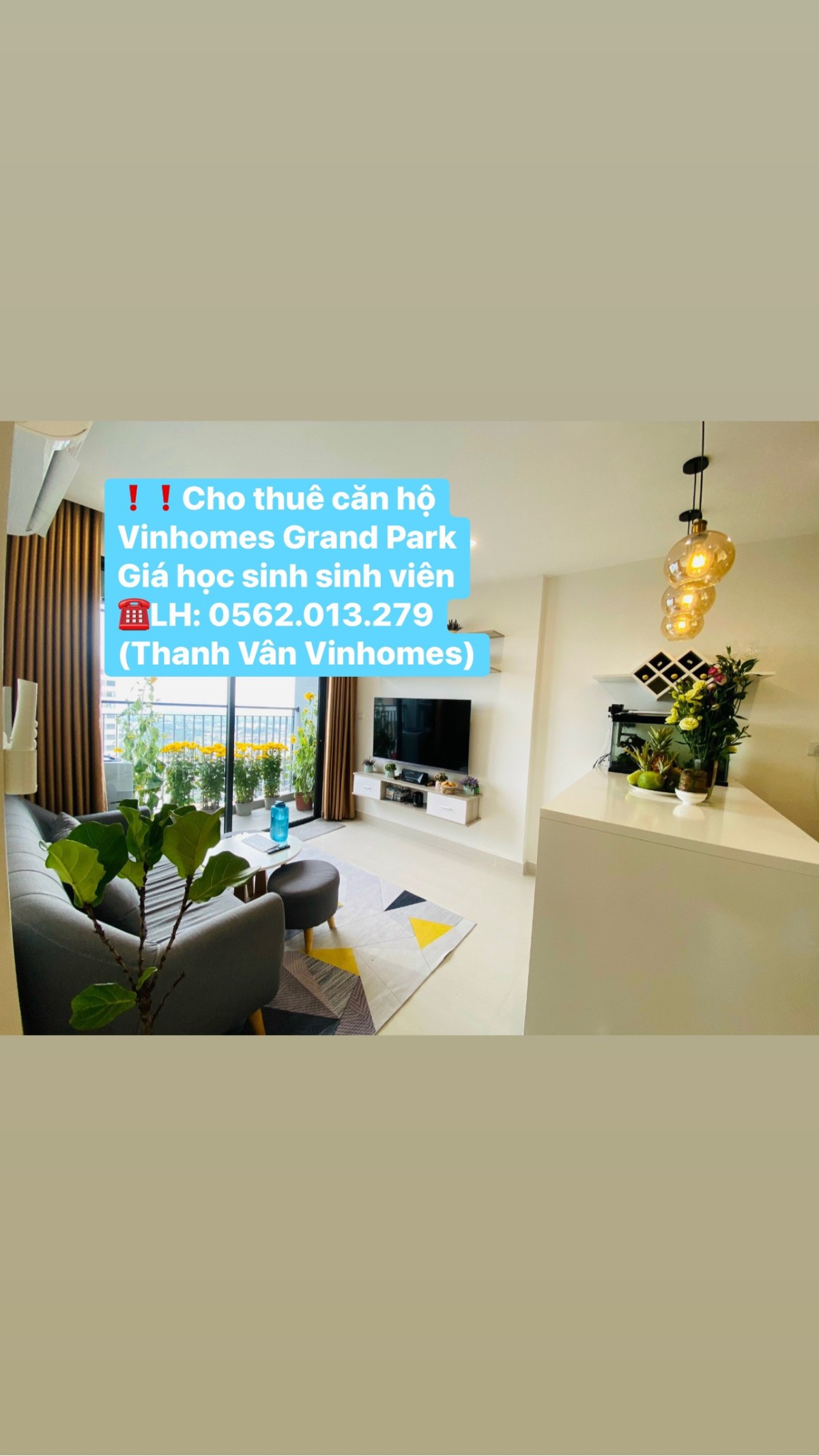 Cho thuê căn hộ chung cư Vinhomes Grand Park giá chỉ từ 3tr8