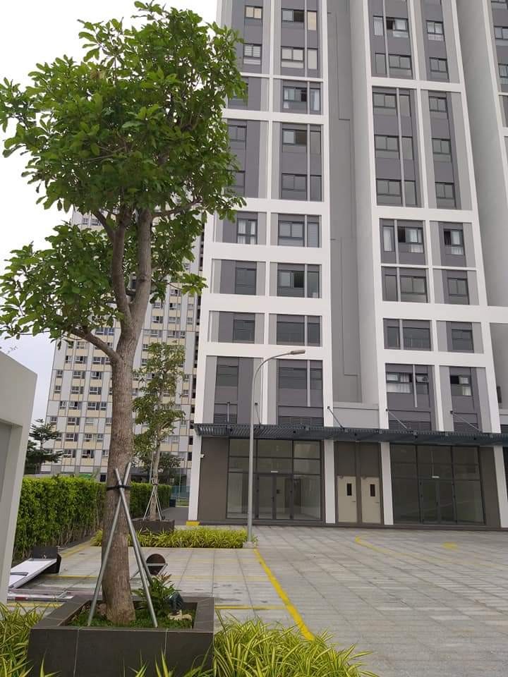 Cho thuê căn hộ Citi Esto 60m2 có 2PN đường Nguyễn Thị Định, Quận 2 - TP. Thủ Đức