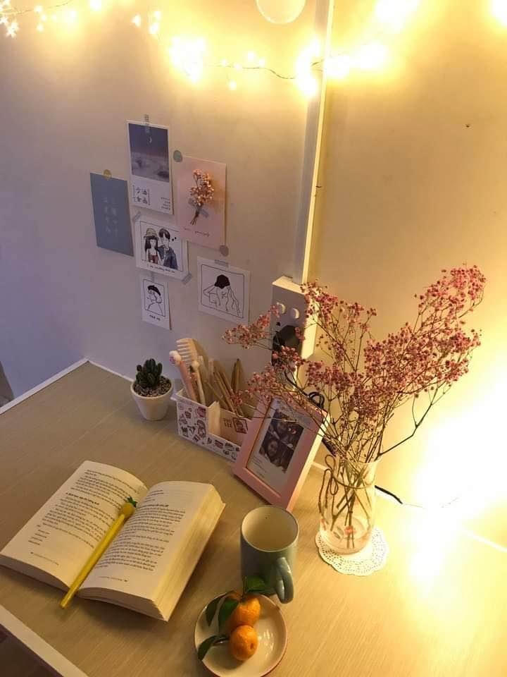 Phòng trọ dành cho 1 người_Cộng Hòa Tân Bình.