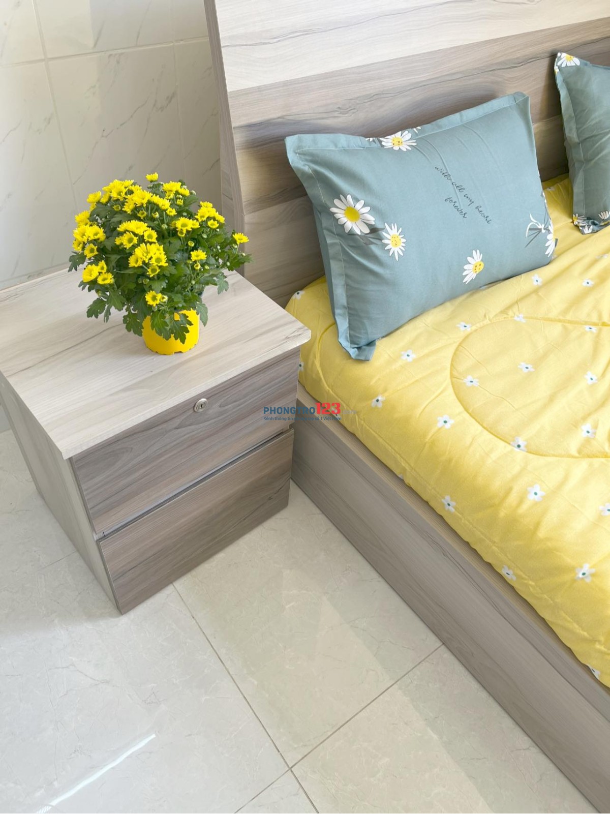 Cho Thuê Căn Hộ Chung Cư Mini mới xây, Phòng STUDIO Phan Huy Ích 3Tr8