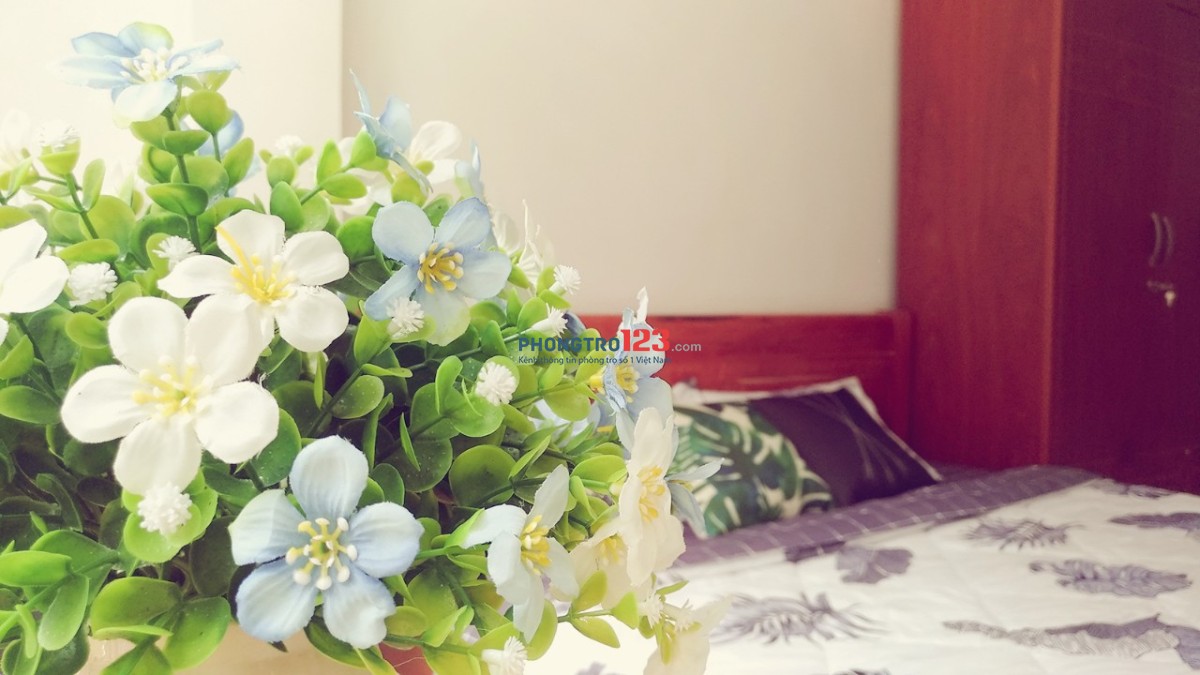 BAN CÔNG VIEW ĐẸP - Cho thuê căn hộ dịch vụ Nguyễn Thiện Thuật Quận 3
