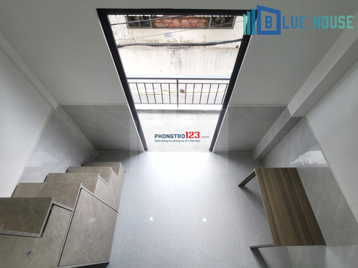 KHAI TRƯƠNG Duplex 20m2 — Trịnh Đình Thảo — Trống Sẵn — NỘI THẤT NEWW
