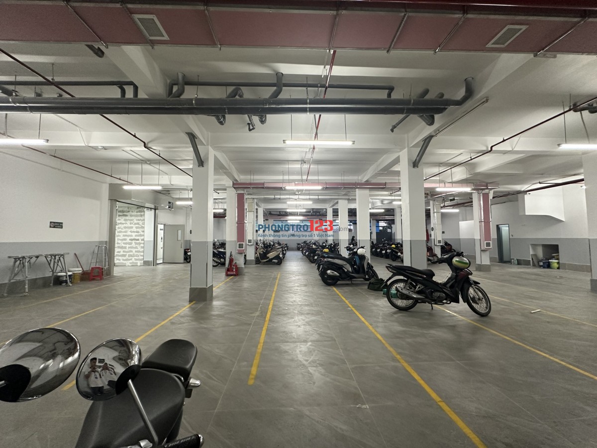 Chung Cư Duplex Cao Cấp Ban Công - View Kính Full Nội Thất - 45m2 - Lý Thường Kiệt - Ngã Tư Bảy Hiền - Chợ Tân Bình