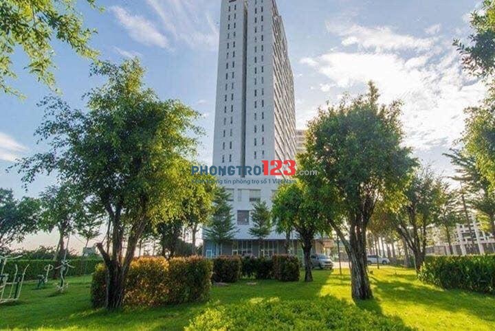 em còn nhiều căn hộ cho thuê với mức giá chỉ từ 6tr có hoặc không nt