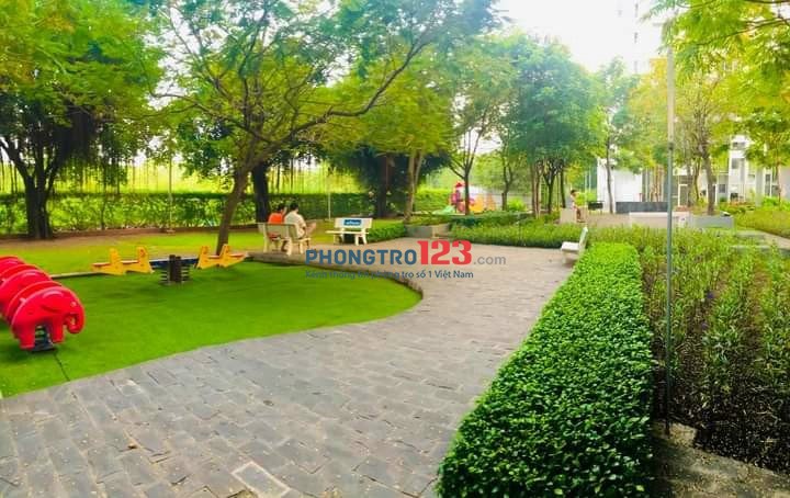em còn nhiều căn hộ cho thuê với mức giá chỉ từ 6tr có hoặc không nt