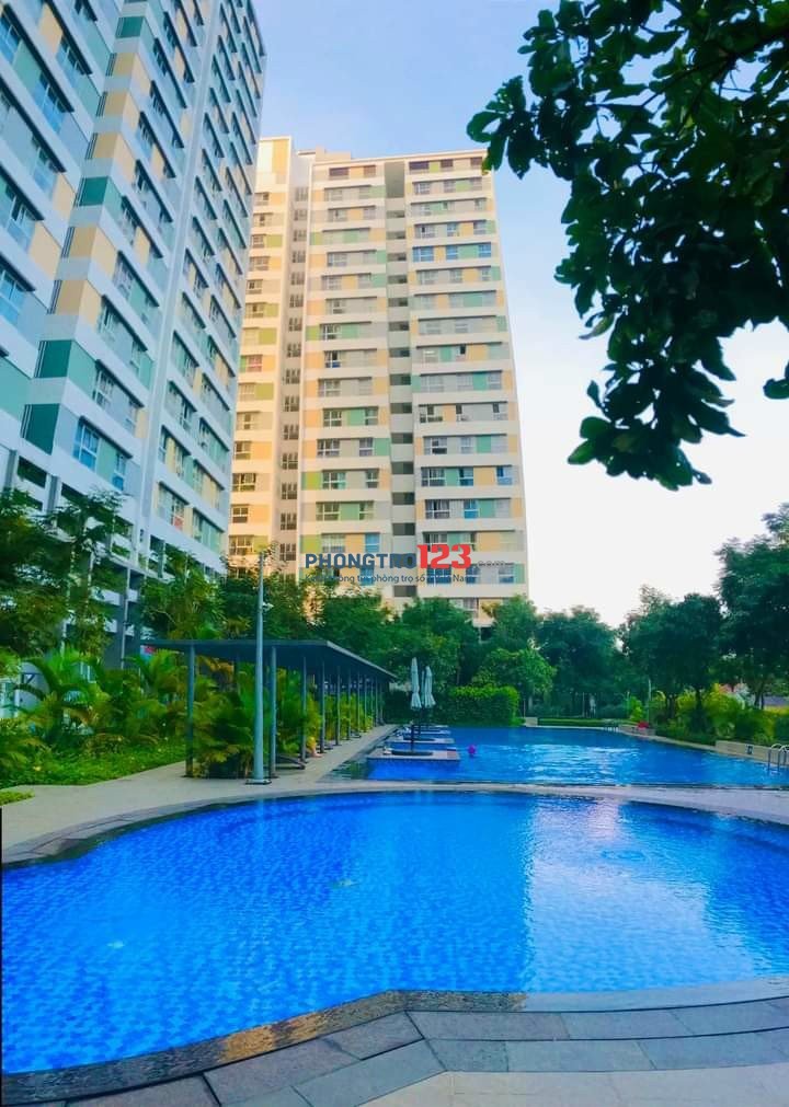 em còn nhiều căn hộ cho thuê với mức giá chỉ từ 6tr có hoặc không nt