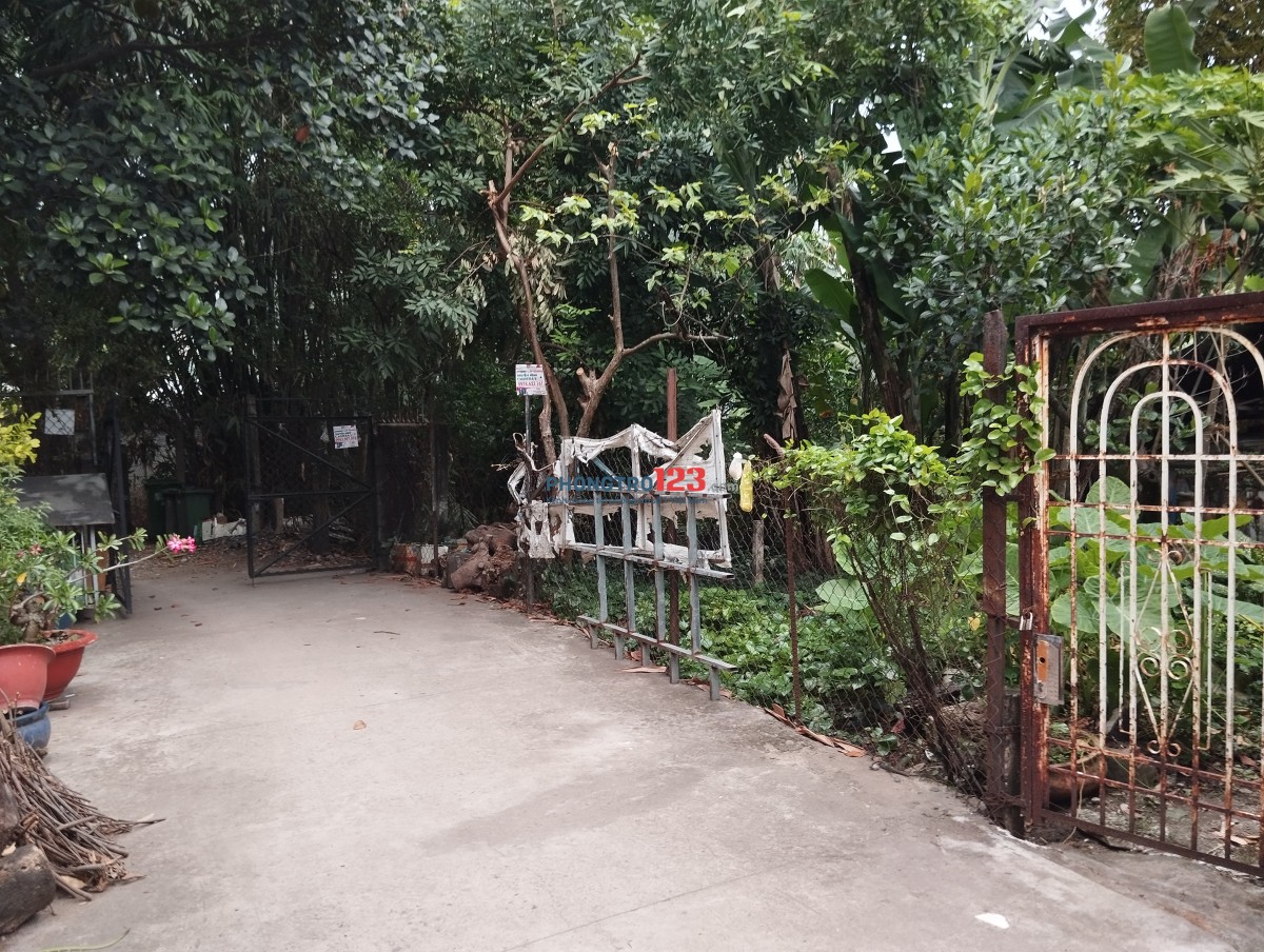 Cho thuê phòng trọ cách ngã tư Bình Thái 100m, gần Cao Đẳng Công Thương, gần ngã tư Thủ Đức