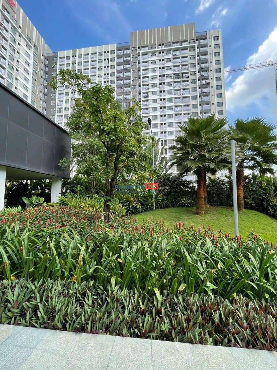 Chính chủ cho thuê căn hộ 58m2 Picity High Park, Quận 12, TP Hồ Chí Minh