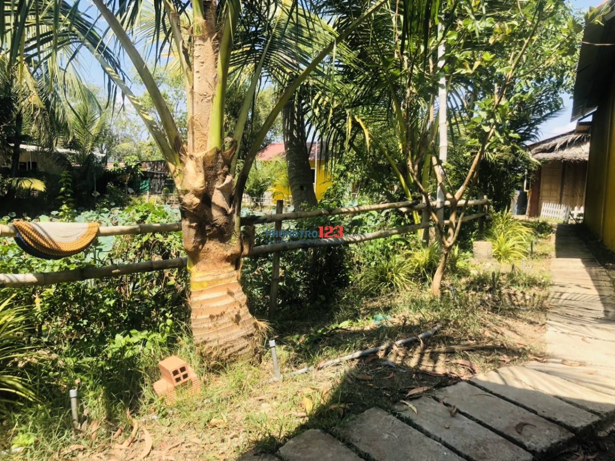 Nhà Homestay giá rẻ, FULL NT, có hồ sen và sân vườn thoáng mát tại Đ. Đoàn Nguyễn Tuấn, Bình Chánh