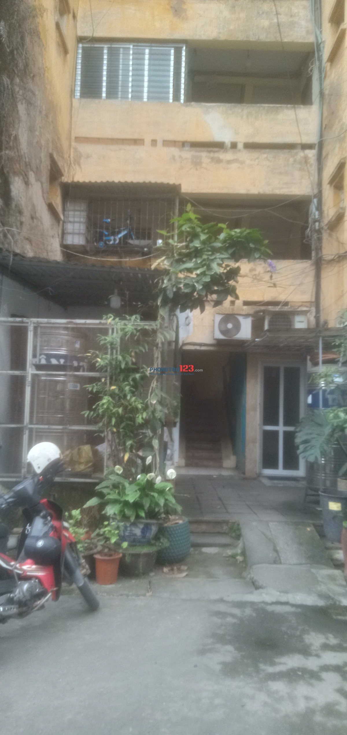 Cho thuê căn hộ tập thể chính chủ số nhà 10C ngõ 186 phố Ngọc Hà.