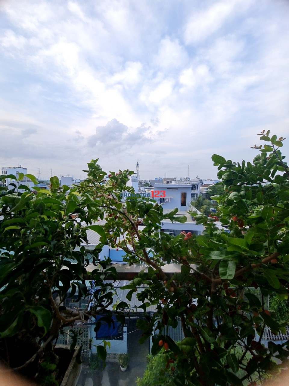 Cho thuê căn hộ dịch vụ 30m² ngay Lê Văn Lương gần Nguyễn Văn Linh giá phòng mới đẹp như hình.