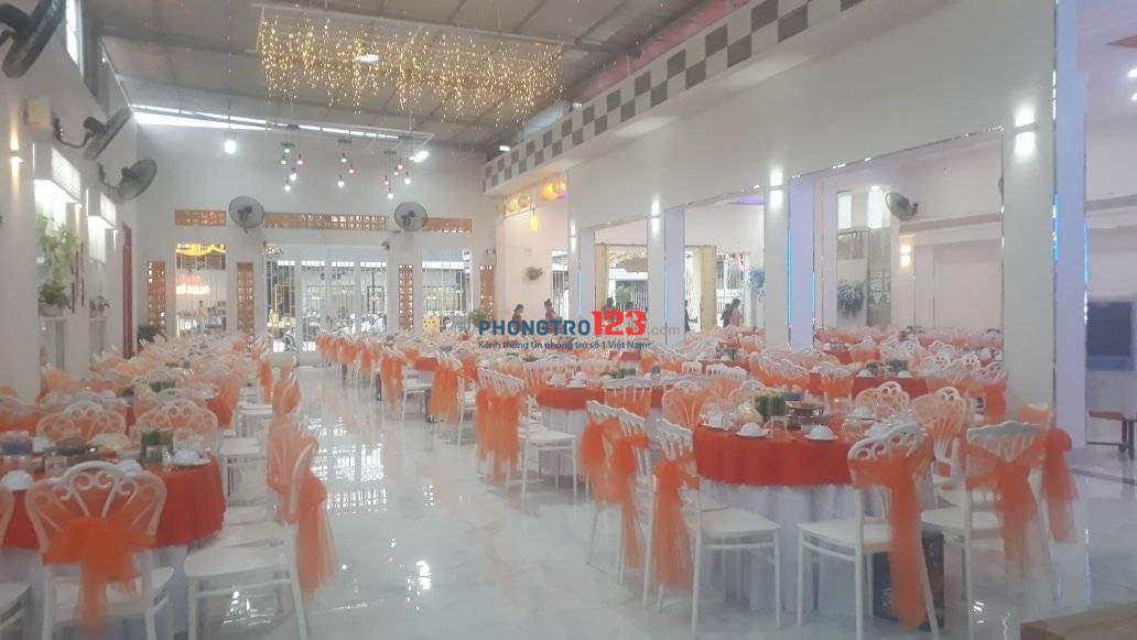 Cho thuê mặt bằng nhà hàng và dãy 12 phòng trọ mặt đường Huỳnh Tấn Phát Mũi Né